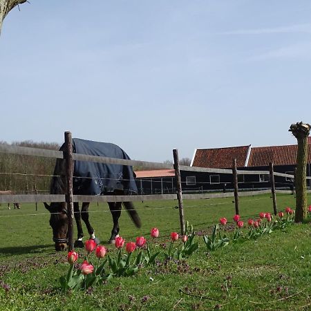 Op de Boerderie Bed and Breakfast Noordgouwe Buitenkant foto