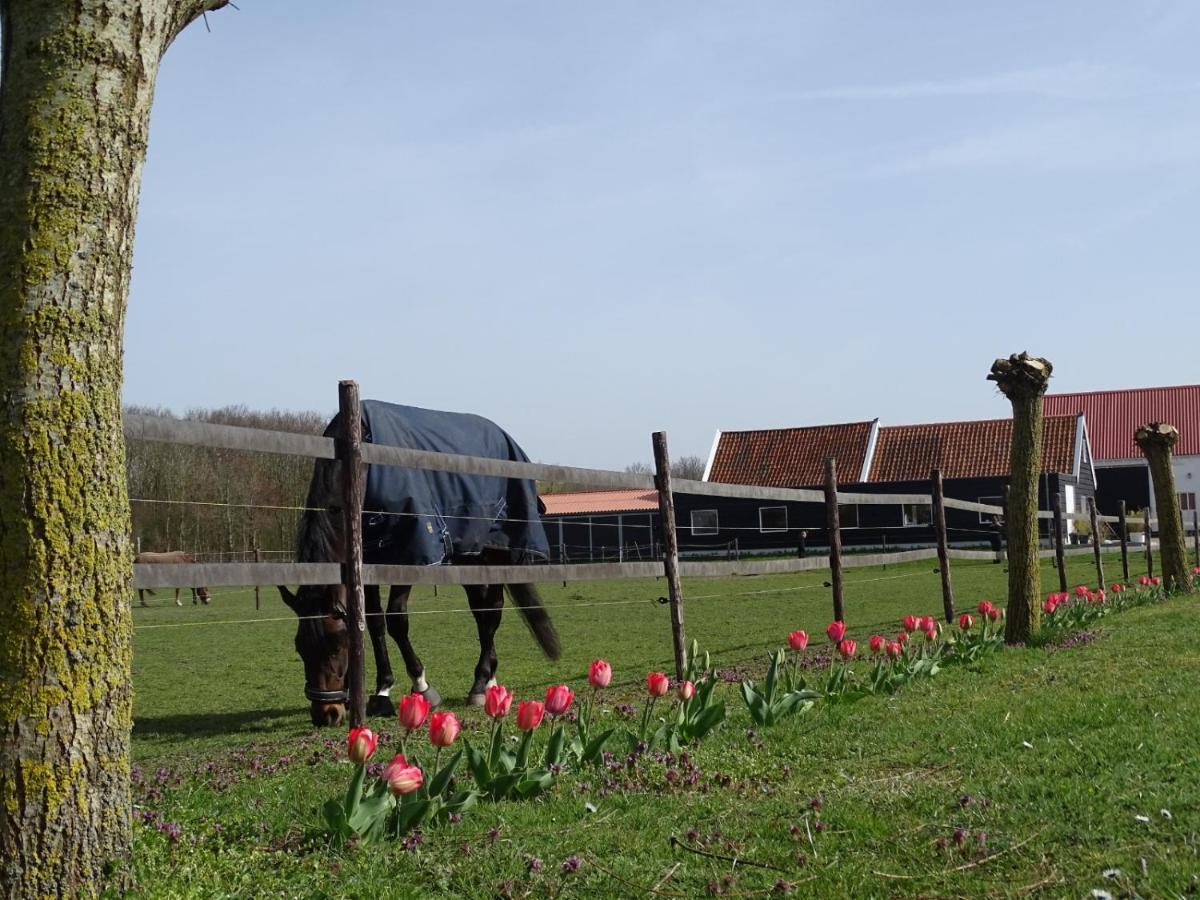 Op de Boerderie Bed and Breakfast Noordgouwe Buitenkant foto