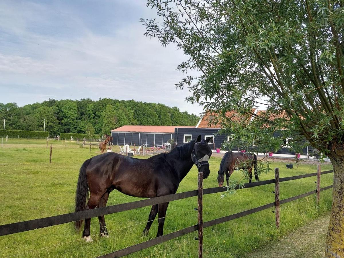 Op de Boerderie Bed and Breakfast Noordgouwe Buitenkant foto