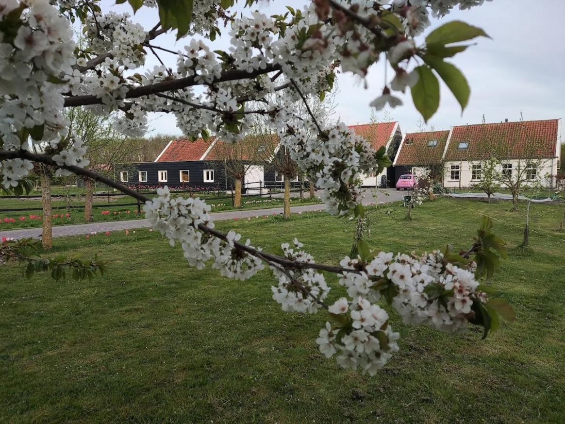 Op de Boerderie Bed and Breakfast Noordgouwe Buitenkant foto